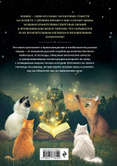 Кошки. Удивительные породы и их секреты - Фото 1