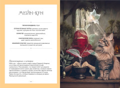 Кошки. Удивительные породы и их секреты - Фото 2