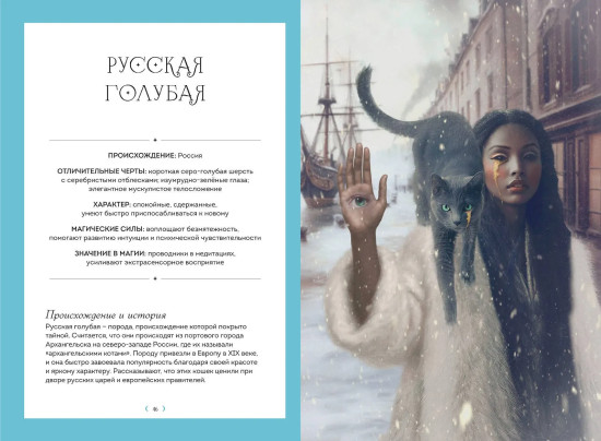 Кошки. Удивительные породы и их секреты