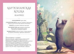 Кошки. Удивительные породы и их секреты - Фото 5