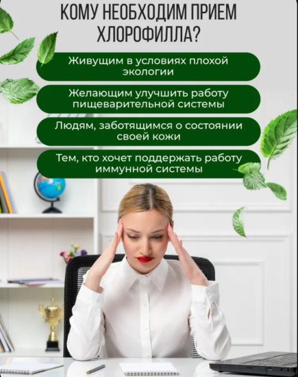 Хлорофилл 500мл 30 порций