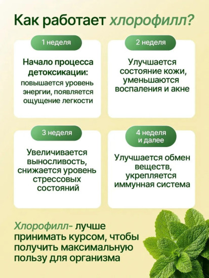 Жидкий пищевой хлорофилл со вкусом мяты