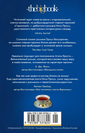 Таинственный гость
