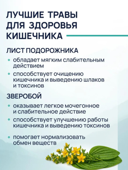 Чай детокс для похудения