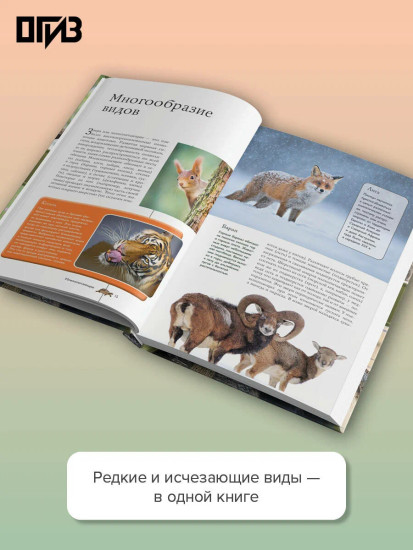 Животные. Популярный иллюстрированный гид