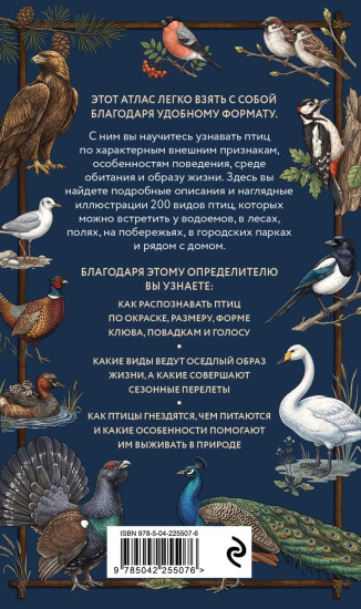 Птицы. Карманный атлас-определитель