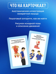 Избавься от триггерных точек. 54 карточки с упражнениями и описанием мышц - Фото 6