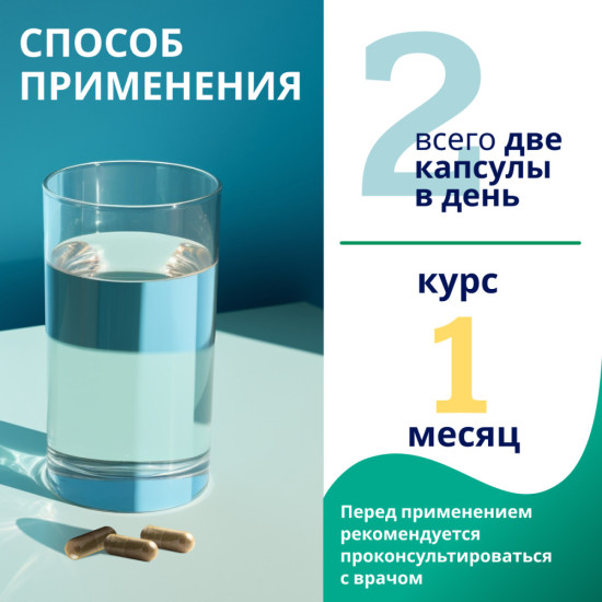 Экстракт Ежовик Гребенчатый для концентрации внимания, памяти и нервной системы