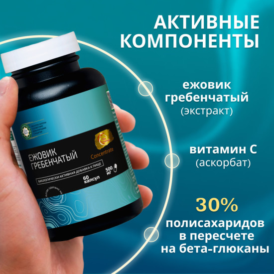 Экстракт Ежовик Гребенчатый для концентрации внимания, памяти и нервной системы