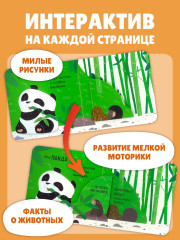 Дикие животные - Фото 4