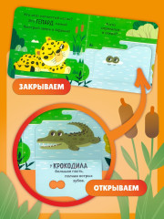 Дикие животные - Фото 6