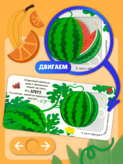 Фрукты и ягоды - Фото 5