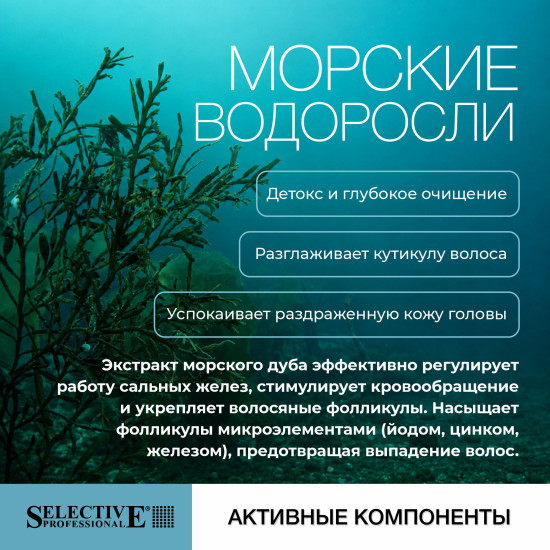 Шампунь для жирной кожи головы «Морские водоросли. Alghe Marine»