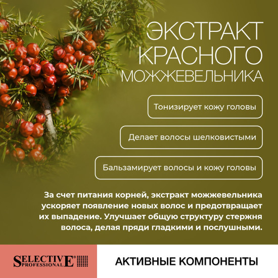 Шампунь для очищения и восстановления волос «Ginepro Rosso»
