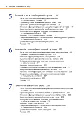 Анатомия и кинезиология танца - Фото 2