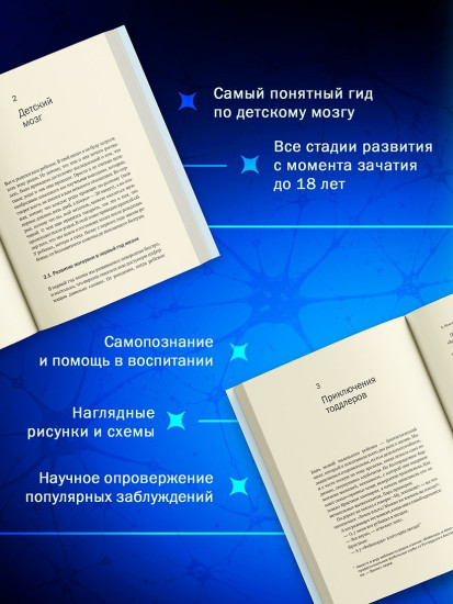 Мозг в стадии разработки. Загадки нейробиологии: все, что мы знаем и не знаем о развитии мозга