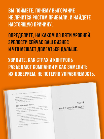 Зрелый бизнес. От выживания к деньгам, удовольствию и смыслу