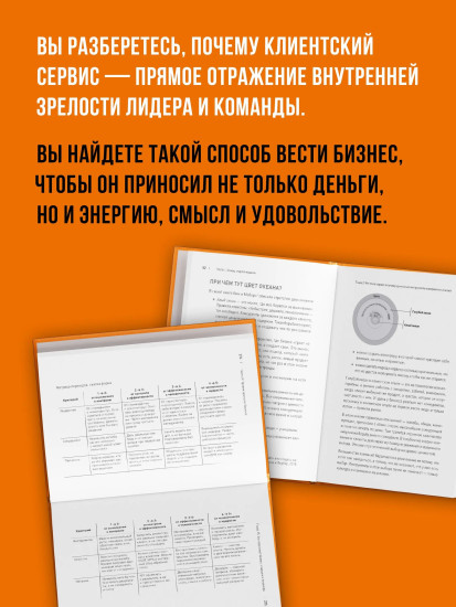 Зрелый бизнес. От выживания к деньгам, удовольствию и смыслу