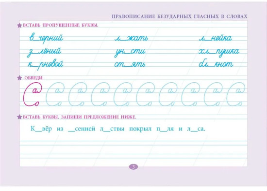 Проверка орфографии и чистописания. 2 класс
