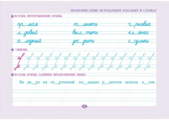 Проверка орфографии и чистописания. 2 класс