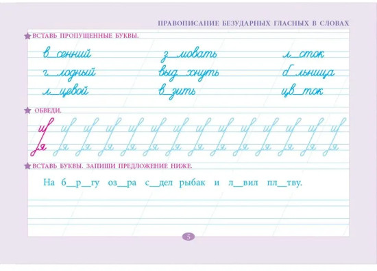 Проверка орфографии и чистописания. 2 класс