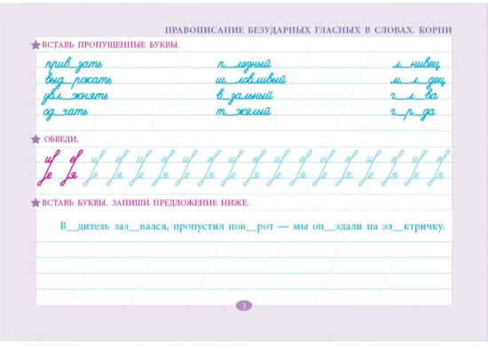 Проверка орфографии и чистописания. 3 класс