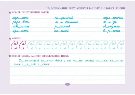 Проверка орфографии и чистописания. 3 класс
