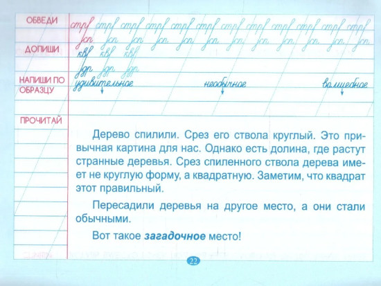 Тренажёр по чистописанию. 3 класс. Подготовка к контрольному списыванию