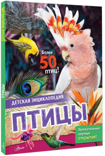 Птицы