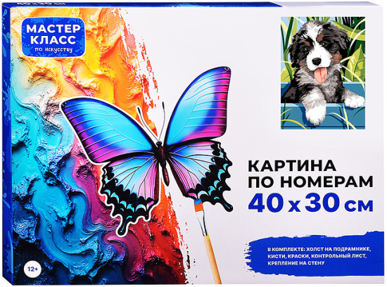 Картина по номерам «Бернский зенненхунд»