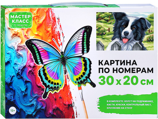 Картина по номерам «Бордер-колли»