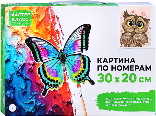 Картина по номерам «Влюблённая сова»