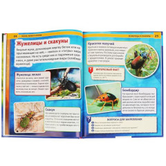 Пауки. Жуки. Улитки. Энциклопедия - Фото 4