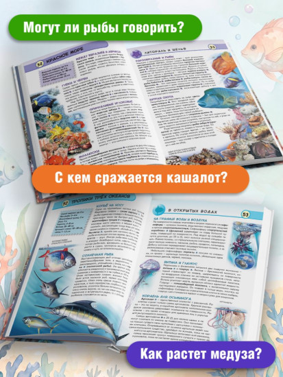 Подводный мир