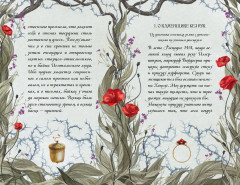 Пепельные следы - Фото 11
