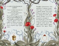 Пепельные следы - Фото 15