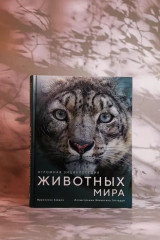Огромная энциклопедия животных мира - Фото 3