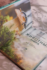 Огромная энциклопедия животных мира - Фото 6