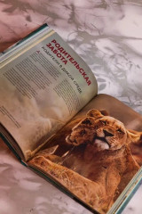 Огромная энциклопедия животных мира - Фото 10