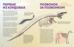 Огромная энциклопедия животных мира - Фото 19