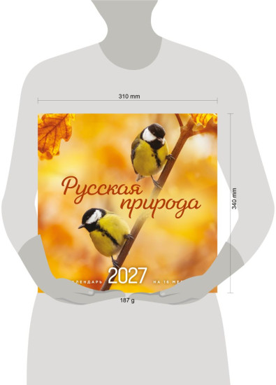 Календарь настенный на 16 месяцев на 2027 год «Русская природа»