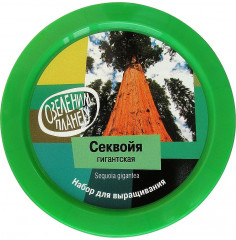 Набор для выращивания «Секвойя» - Фото 1