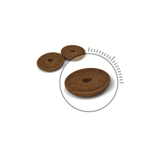 Корм для кошек «Digestive Care»