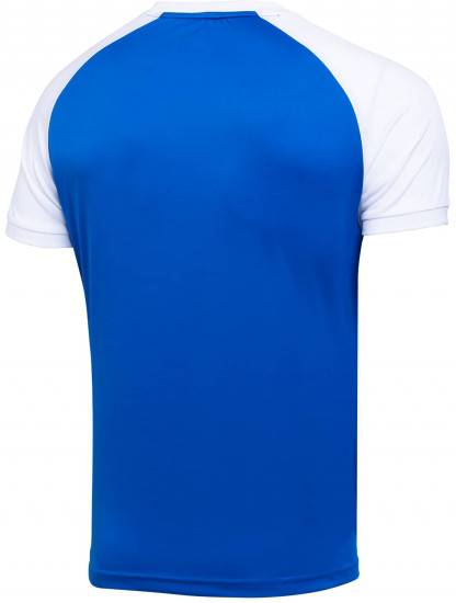 Футболка мужская «Camp Reglan»