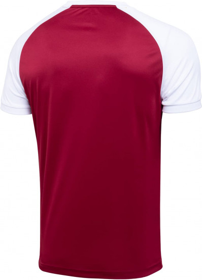 Футболка мужская «Camp Reglan»
