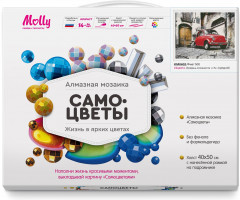 Мозаика алмазная с нанесенной рамкой «Фиат» - Фото 1