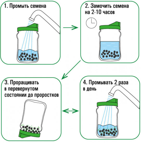 Проращиватель «Крышка-сито»
