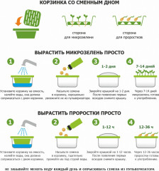 Проращиватель «Моя Микрозелень» - Фото 6