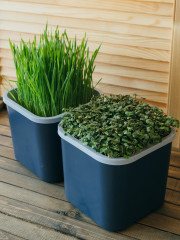 Проращиватель двухмодульный «Графит» - Фото 3