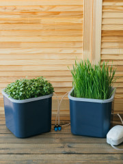 Проращиватель двухмодульный «Графит» - Фото 4